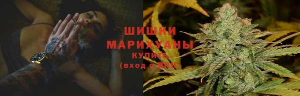 круглые Пересвет