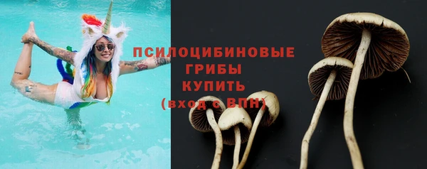 spice Алексеевка